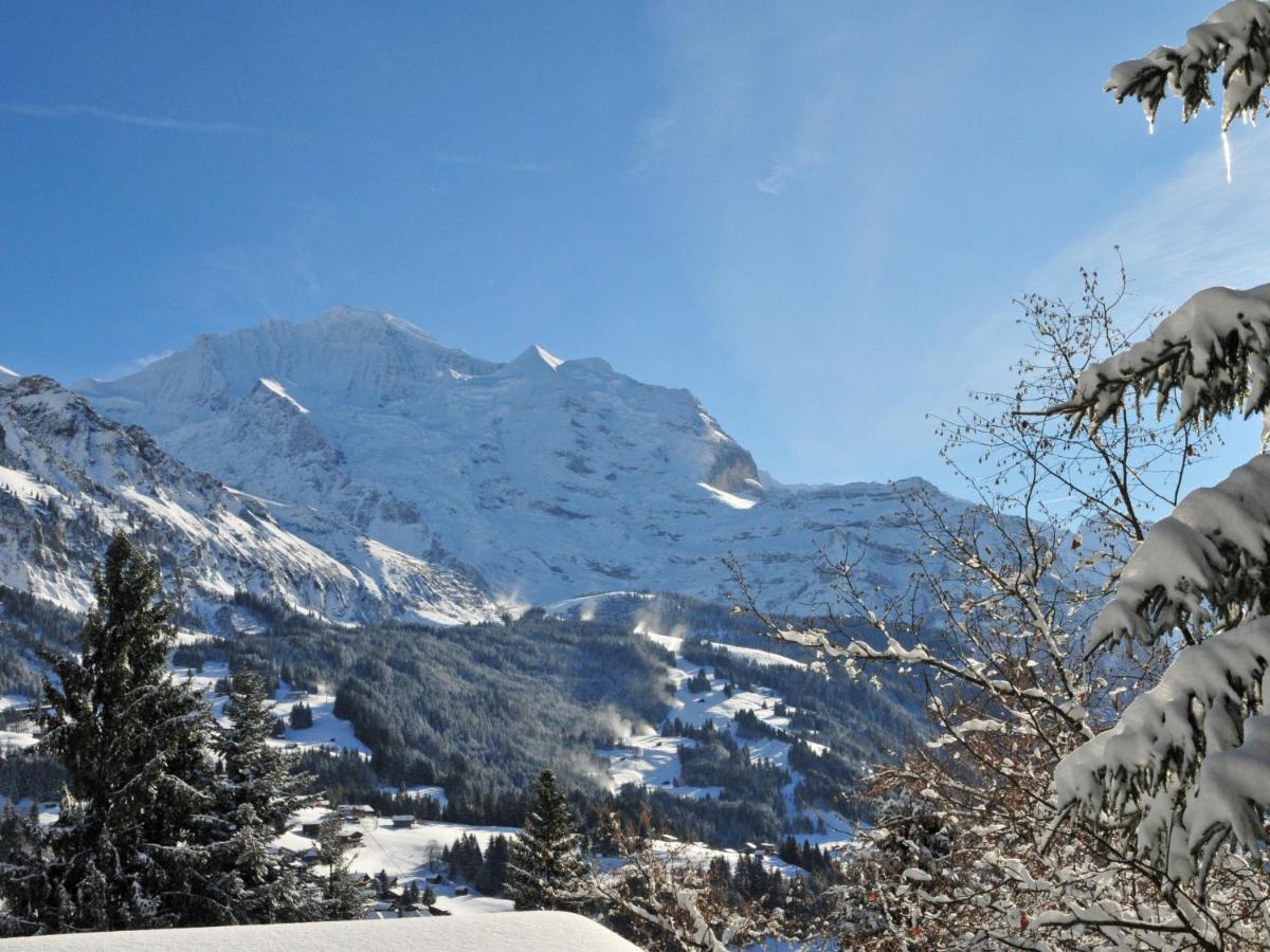 Apartment Helene Apt- Hella By Interhome Wengen Eksteriør bilde